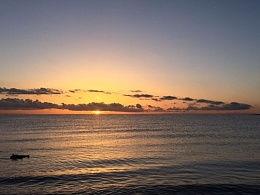 日出吃瓜,探寻夏日清晨的独特风味