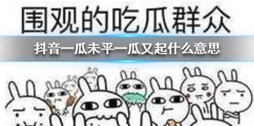 抖音新闻吃瓜,揭秘娱乐圈最新“吃瓜”事件