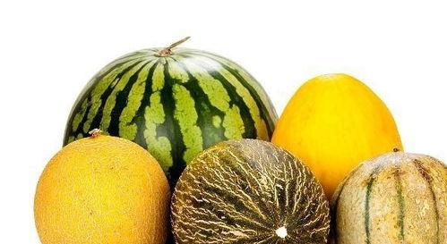 吃瓜老的好处,品味人生，笑对风云的智慧之道