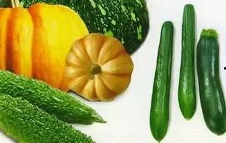 吃瓜知心,揭秘娱乐圈背后的真实故事