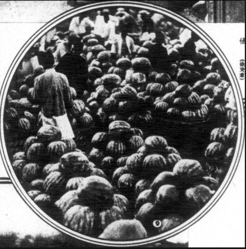 杭州上海吃瓜事件,一场网络口水战的背后