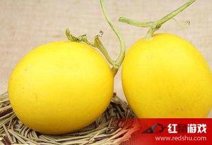 吃田瓜嗓子不舒服,嗓子不适警示录