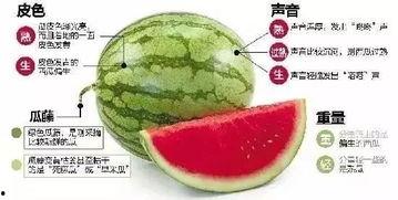 微信免费吃瓜入口,轻松解锁美食盛宴的秘密入口