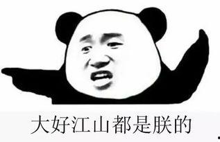 吃瓜无偿群,网络社交新趋势下的娱乐盛宴