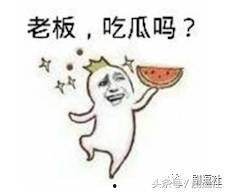 吃瓜人必备语录大全,语录大全中的趣味解读