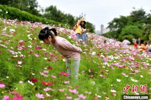 福州花海公园吃瓜,瓜果飘香，共享夏日清凉时光