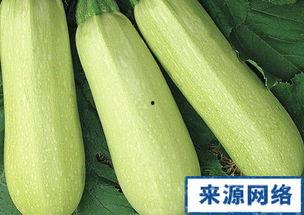 产妇可以吃角瓜吗,产妇适宜食用角瓜的益处与建议