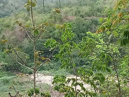 武装吃瓜,揭秘军事与娱乐的跨界融合