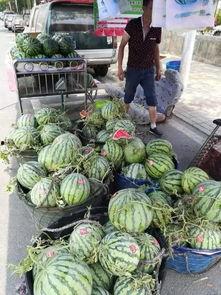 洪洞吃瓜事件,一场引发社会关注的网络风波