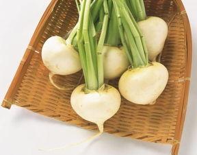 饱吃萝卜饿吃瓜,探寻民间饮食智慧