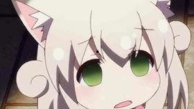 吃瓜的H,一场网络文化的深度剖析